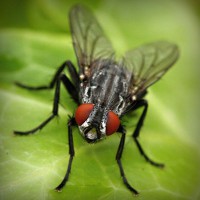 /album/mindent-a-vizert/photolia-a01-jpg/