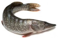 /album/mindent-a-vizert/csuka-jpg/