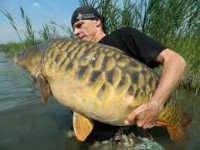 /album/mindent-a-vizert/ponyt-jpg/